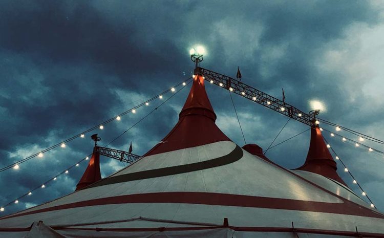  Dolor magna eget est lorem ipsum dolor